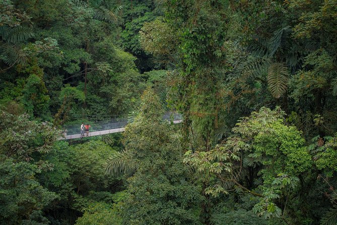Arenal Hanging Bridges Hiking Tour - Inclusions