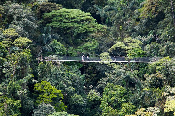 Arenal Hanging Bridges Nature Tour - Meeting and Pickup Details