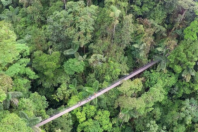 Arenal Hanging Bridges With Hotsprings, Lunch and Dinner - Key Points