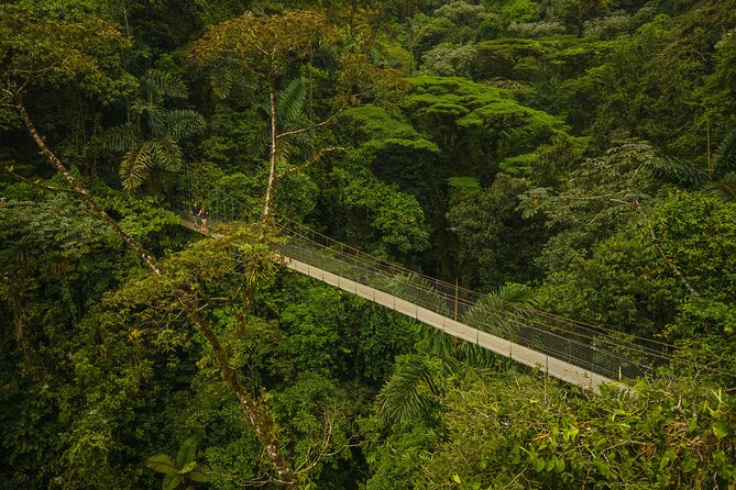 Arenal Highlights (arenal 1 Day) + Baldi Hot Springs & Dinner - Inclusions and Whats Provided