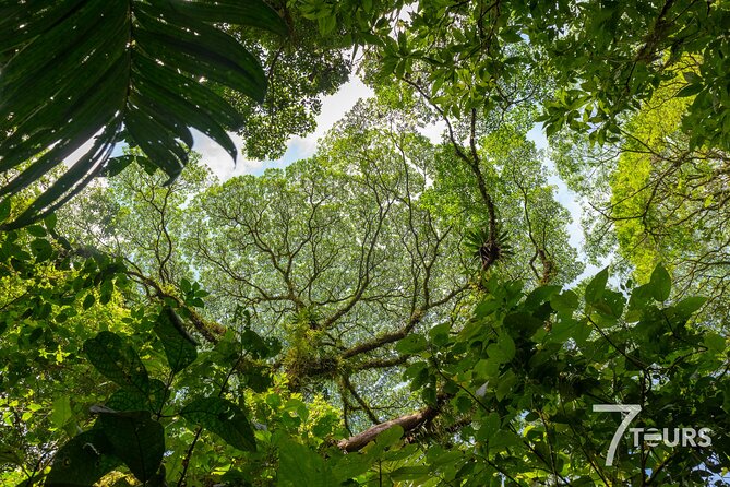 Arenal Highlights (arenal 1 Day) + Baldi Hot Springs & Dinner - Key Considerations for Booking