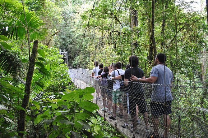Arenal Highlights: Hanging Bridges, La Fortuna Waterfall, Volcano - Group Size