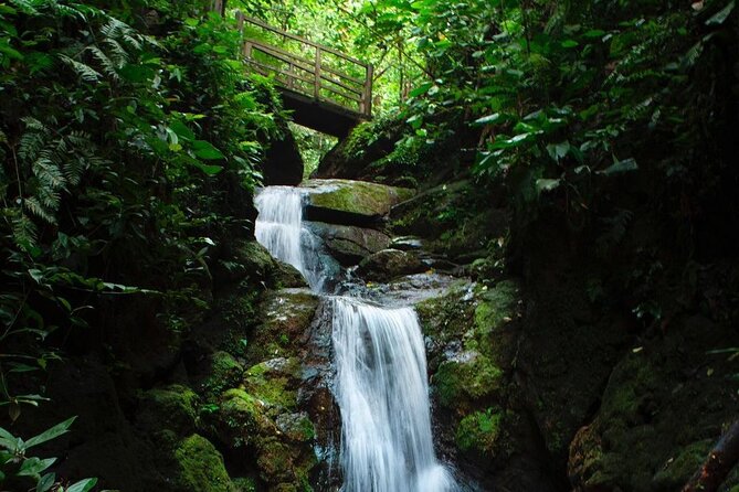 Arenal Jungle Trekking & Cultural Experience - Wildlife and Scenic Highlights