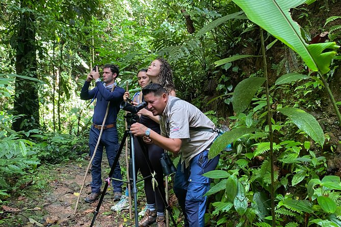 Arenal Jungle Trekking & Cultural Experience - Participant Reviews and Feedback