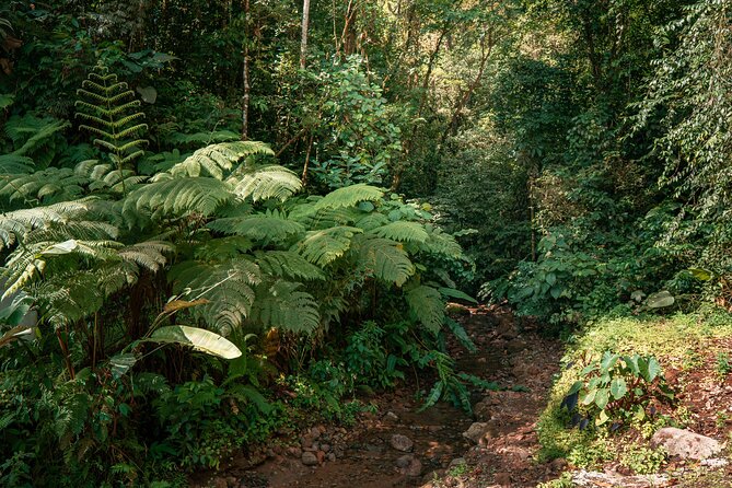 Arenal Natural Hiking Trails - Operating Hours