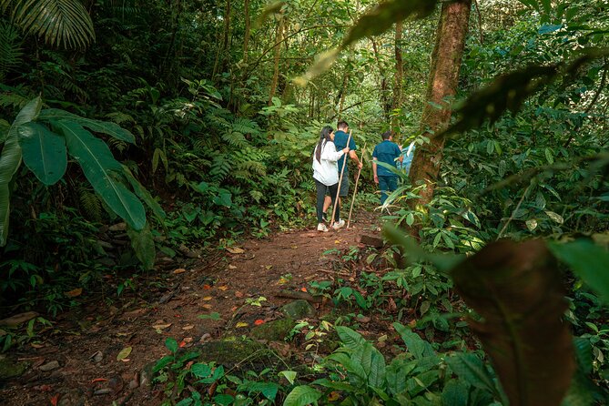 Arenal Natural Hiking Trails - Tour Details