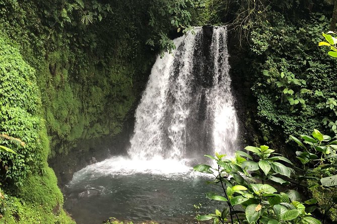 Arenal Observatory Hike + Hot Springs - Accessibility and Recommendations