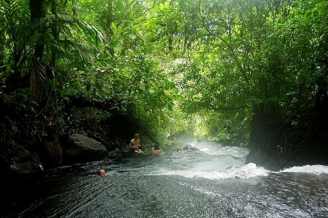 Arenal Observatory Hike + Hot Springs - Customer Reviews and Host Response