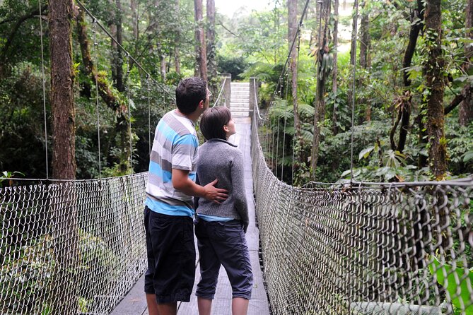 Arenal Observatory Lodge & Trails - Health and Fitness Requirements