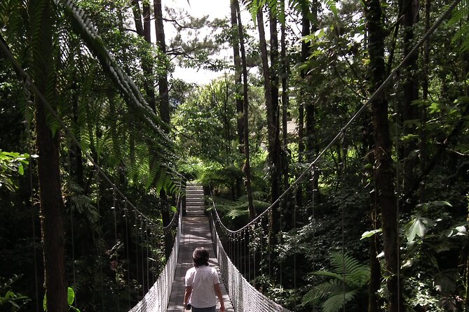 Arenal Observatory Lodge & Trails - Exploring the Volcano History Museum