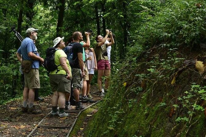 Arenal Observatory Trails Admission Ticket - Transportation and Accessibility