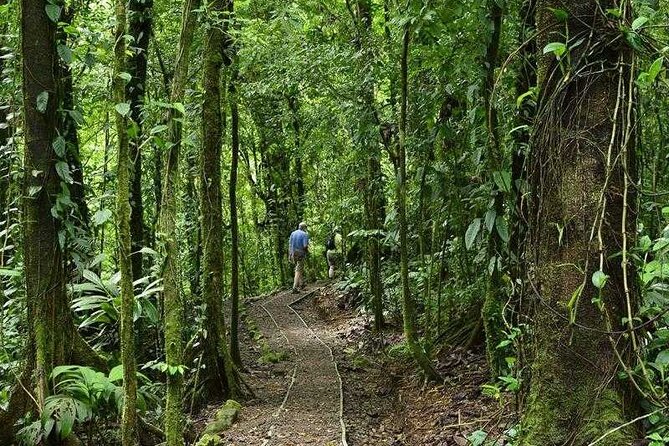 Arenal Observatory Trails Admission Ticket - Wildlife Spotting Opportunities