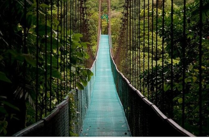 Arenal One Day Unique Experience - Participant Reviews and Testimonials