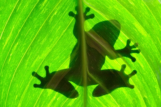 Arenal Sloths Lovers & Baldi Hot Springs. Private Tour - Exploring Eco Centro Danaus