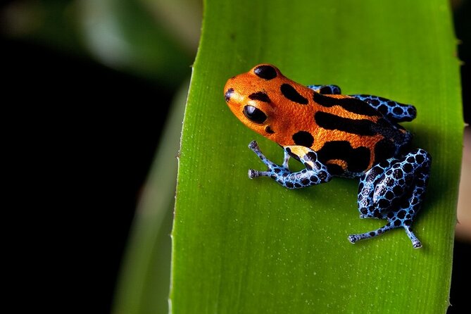 Arenal Sloths Lovers & Baldi Hot Springs. Private Tour - Operator Information