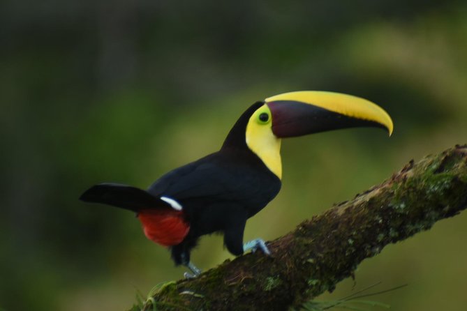 Arenal Volcano And La Fortuna Waterfall Tour - Exploring La Fortuna Waterfall