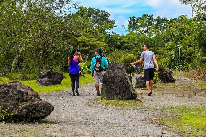 Arenal Volcano Guided Hike Experience - Overview and Experience