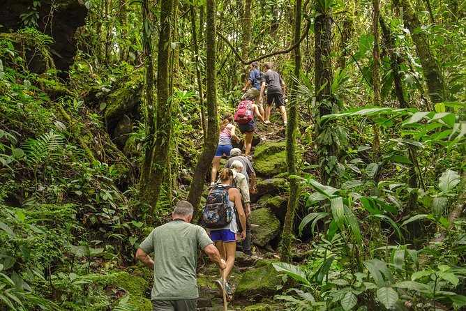 Arenal Volcano Hike Trail & Baldi Hot Springs From Arenal - Hiking Experience Highlights