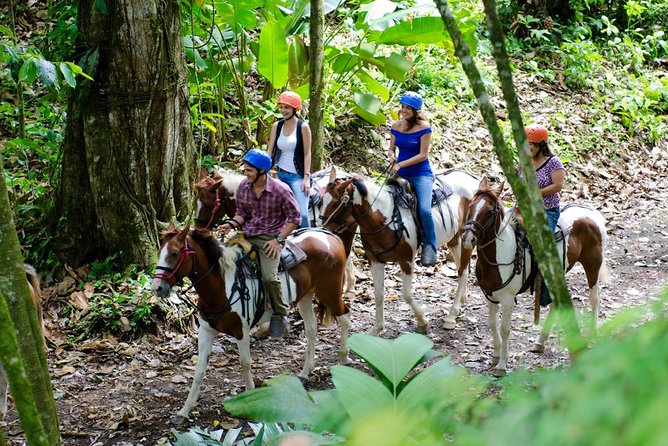 Arenal Volcano Horseback Riding Hot Springs Included - Exploring the Arenal Volcano