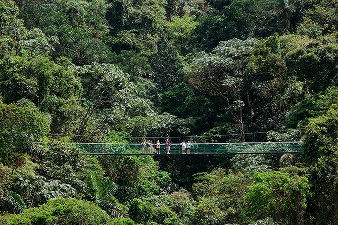 Arenal Volcano Tour - Activities and Highlights