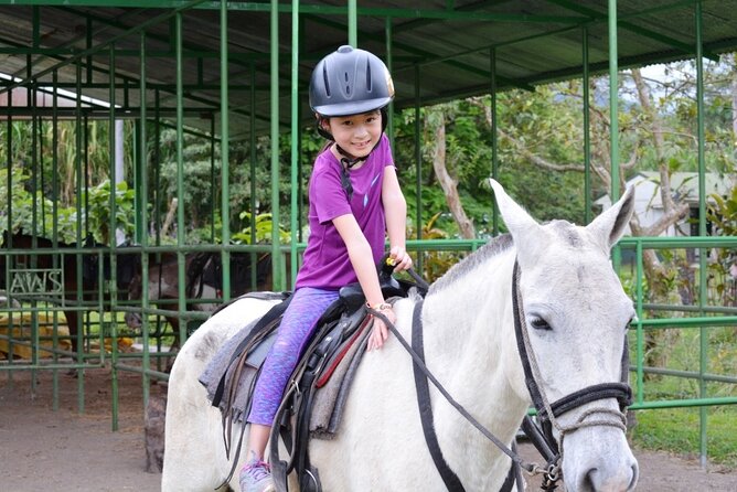 Arenal Wilberth Stable - Tour Offerings