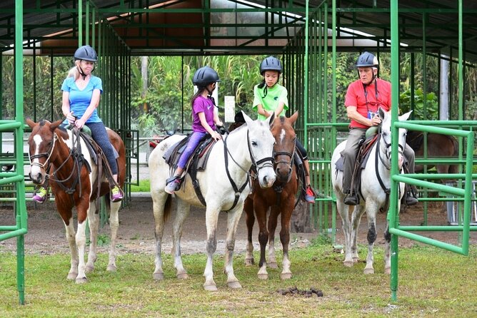 Arenal Wilberth Stable - Wildlife Encounters