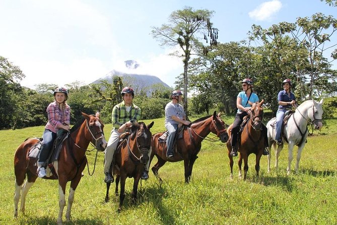 Arenal Wilberth Stable - Safety Precautions