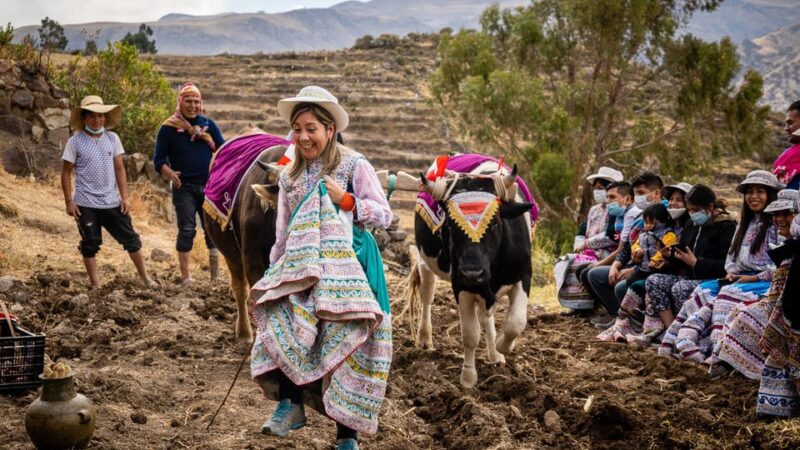 Arequipa: 3-Day Colca Canyon and Sillar Quarries Tour - Key Points