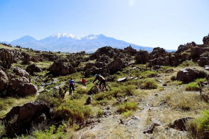 Arequipa: 3-Hour Mountain Bike Tour - Key Points