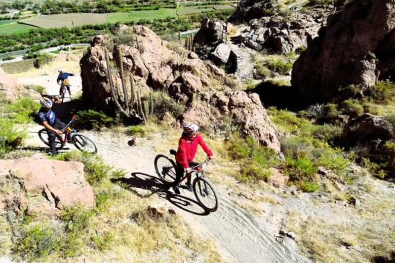 Arequipa: 3-Hour Mountain Bike Tour - Inclusions and Exclusions