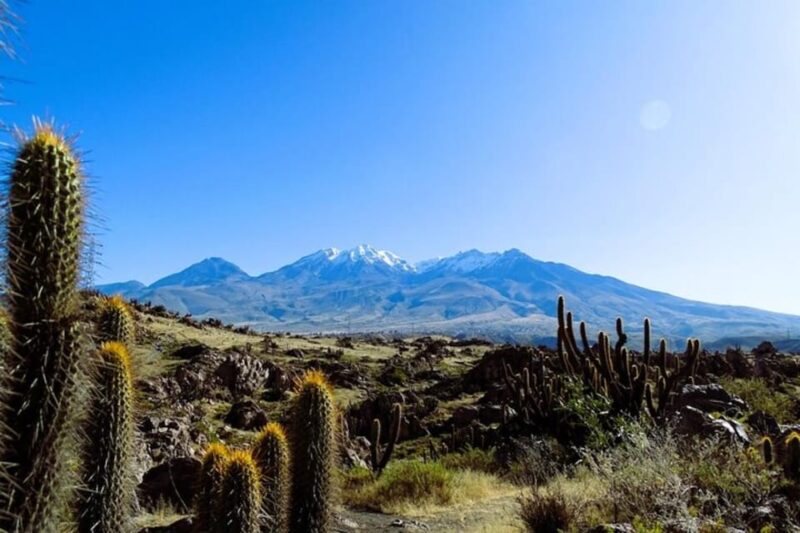 Arequipa: 3-Hour Mountain Bike Tour - Physical Condition Requirements