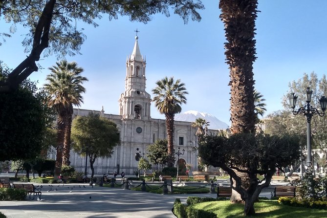 Arequipa City Tour and Food and Drinks Experience - Reviews and Ratings