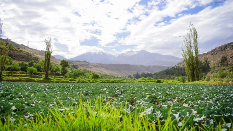 Arequipa: City Tour With Panoramic Bus - Customer Reviews