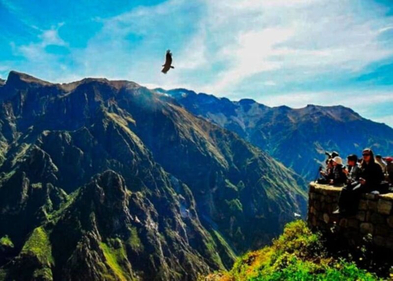 Arequipa: Colca Canyon 1-Day Guided Tour | Condor Flight | - Inclusions
