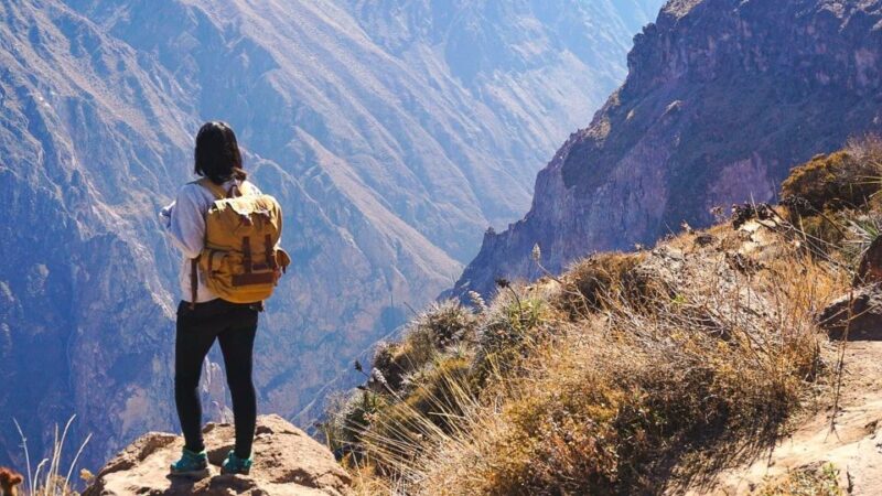 Arequipa: Colca Canyon Excursion, Option Ending in Puno - Itinerary and Highlights