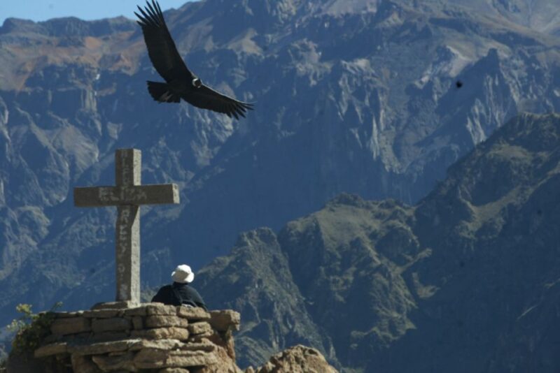 Arequipa & Colca Canyon Multi-Day Tour - Day 2: Journey to Colca Canyon