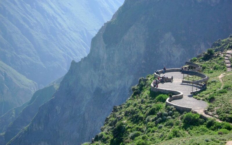 Arequipa: Colca Valley and Condor Viewpoint 2 Days/1 Night - Inclusions