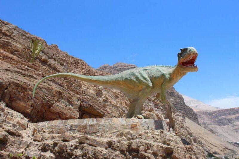 AREQUIPA: Dead Bull Petroglyphs and Dinosaur Footprints - Key Points