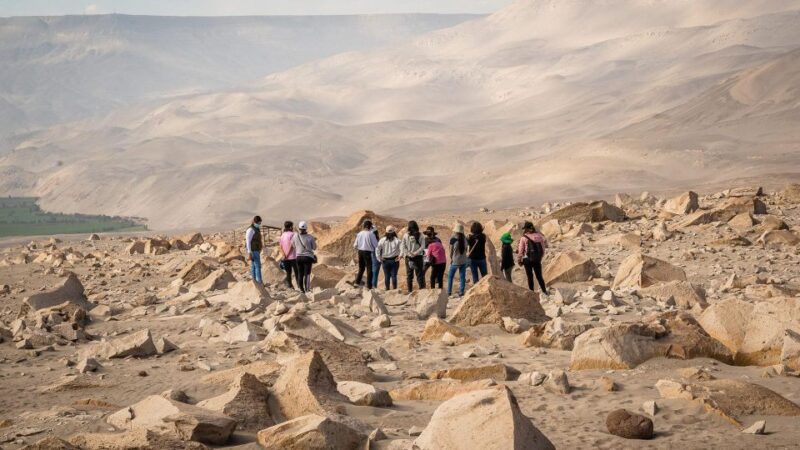 AREQUIPA: Dead Bull Petroglyphs and Dinosaur Footprints - Explore Toro Muertos Petroglyphs