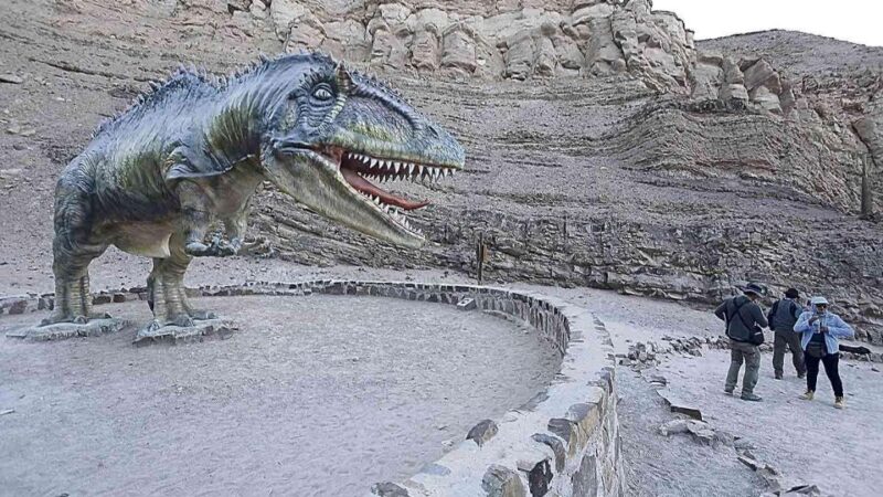 AREQUIPA: Dead Bull Petroglyphs and Dinosaur Footprints - Inclusions and Transportation