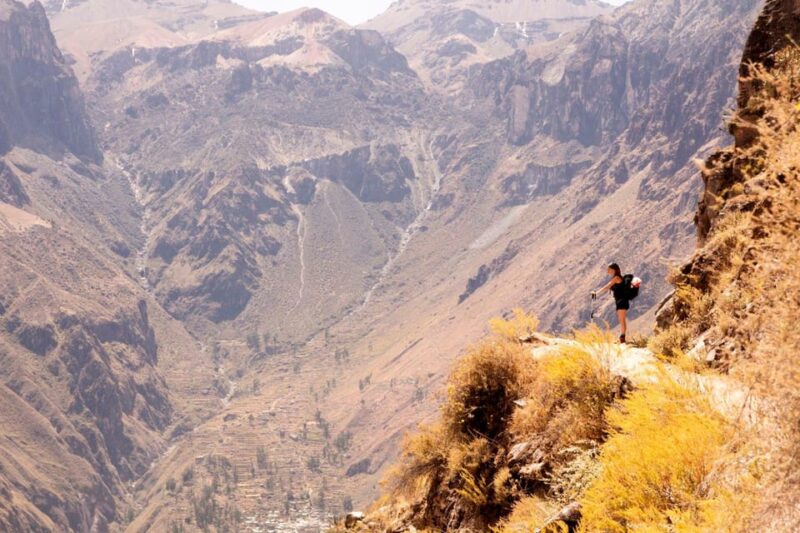 Arequipa: Excursion to the Colca Canyon + Transfer to Cusco - Itinerary Details
