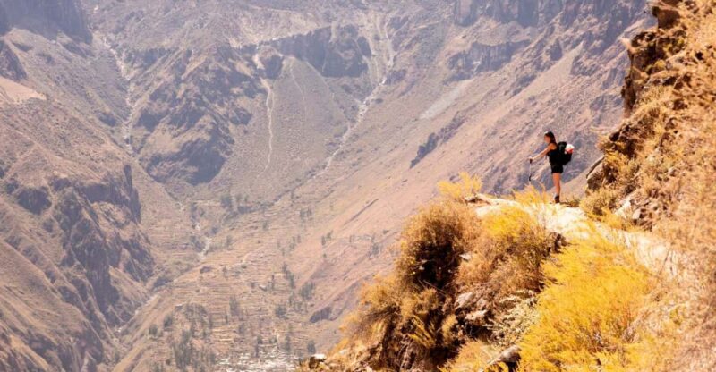 Arequipa: Excursion to the Colca Canyon + Transfer to Cusco - Day 1 Highlights