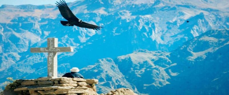 Arequipa: Excursion to the Colca Canyon + Transfer to Cusco - Overview and Pricing