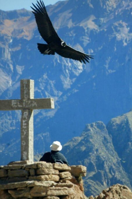 Arequipa: Excursion to the Colca Canyon + Transfer to Cusco - Optional Adventure Activities