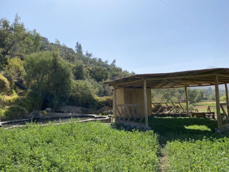 Arequipa: Experiential Textile Tourist Center - Textile Techniques and Demonstrations