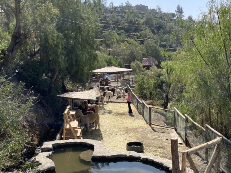 Arequipa: Experiential Textile Tourist Center - Handspun: Spinning Alpaca Fiber
