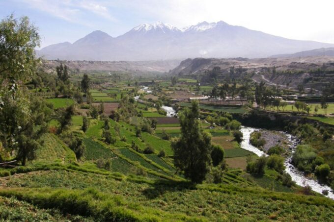 Arequipa Panoramic Bus Tour - Customer Feedback