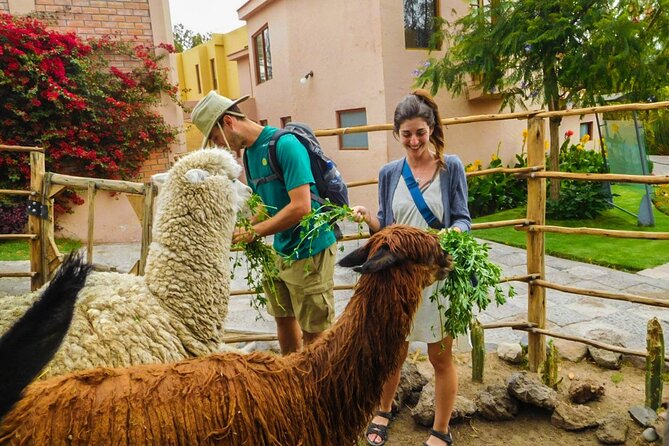 Arequipa Panoramic Bus Tour - Customer Feedback and Ratings