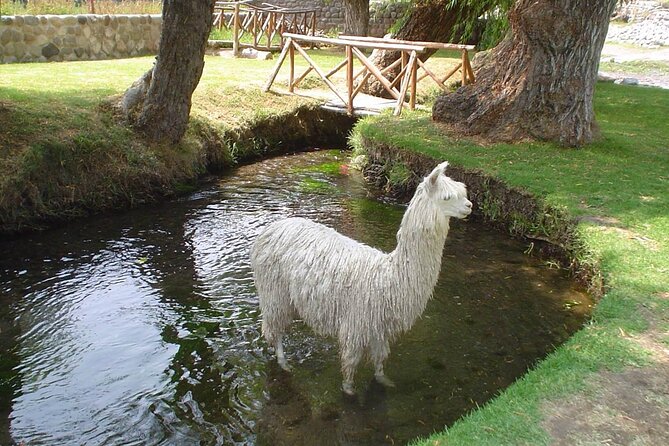 Arequipa Panoramic Bus Tour - Historic Attractions