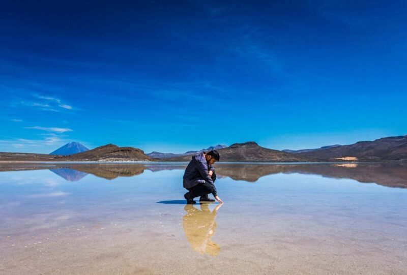 Arequipa: Reserve of Salinas and Aguada Blanca-Lojen Volcano - Experience and Highlights